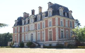 Chateau Du Guerinet D'Orchaise